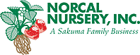Norcal Nursery