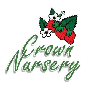 Crown Nursery is proud to sponsor the North American Strawberry Growers Association.