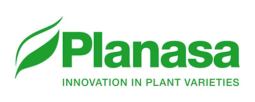 Plansa is proud to sponsor the North American Strawberry Growers Association.